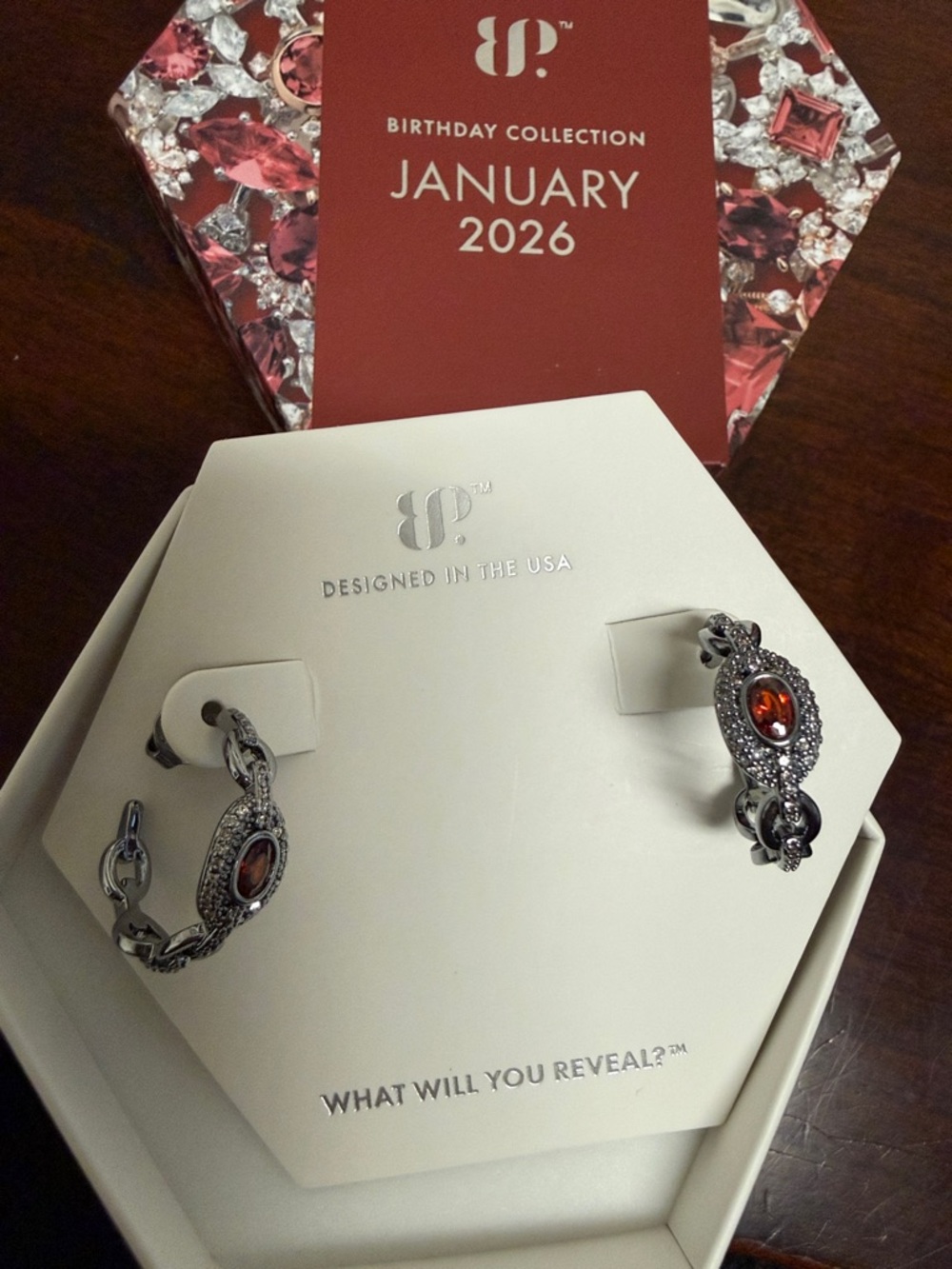 Bomb party January 2026 Hoop Earrings